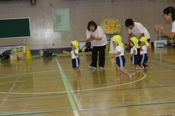 園での生活　平成29年度　運動会_たんぽぽ