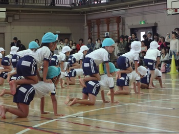 園での生活　平成29年度　運動会_組体操01