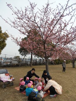 園での生活　平成29年度　園外保育（すみれぐみ）2