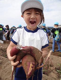 芋掘り遠足の画像7